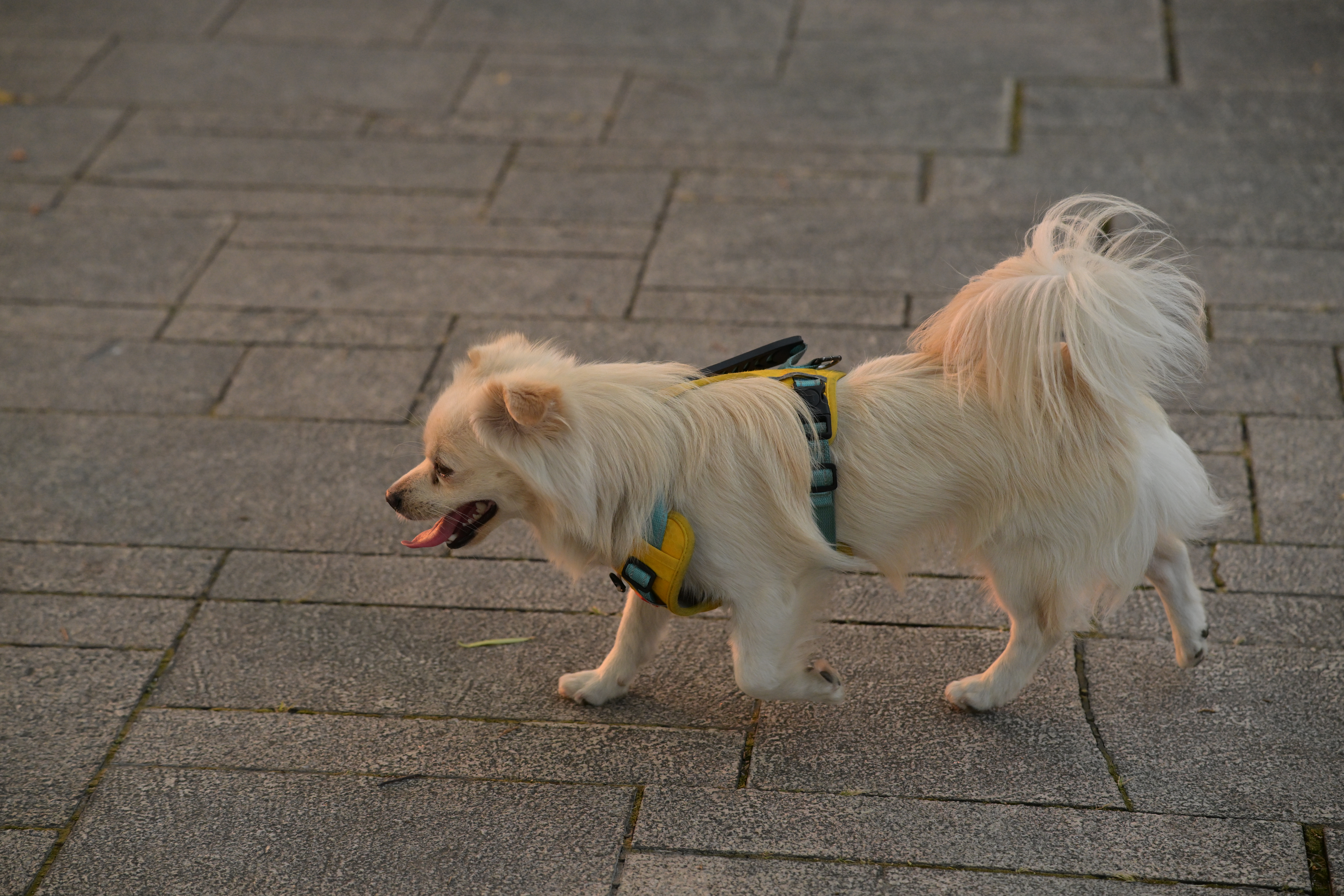 DSC_1546.JPG